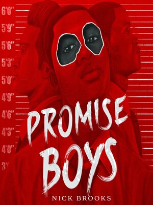 Promise Boys - Audiobook
